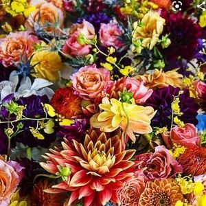 Meet your Posher, Katrina